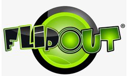 Flip Out Logo