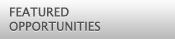 Featured Opportunities